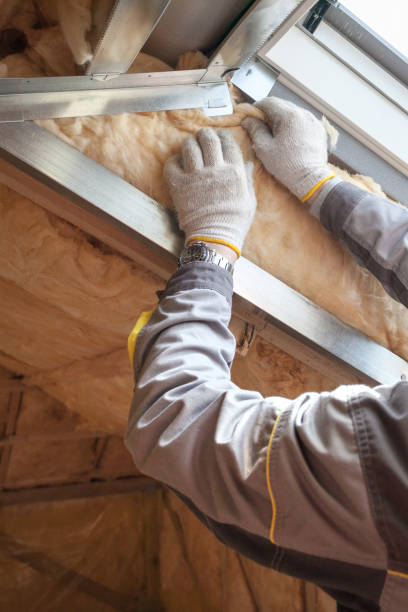 Best Insulation Contractors for Homes  in Beaver Falls, PA