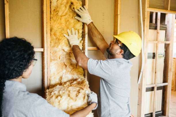 Best Crawl Space Insulation  in Beaver Falls, PA